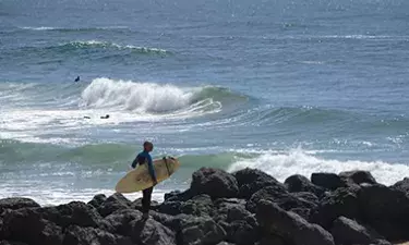 surf